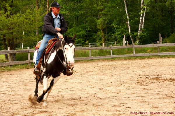 Demi-journée de formation : "Mieux comprendre les chevaux"