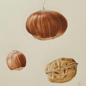 Stage d'aquarelle intergénérationnel, adultes, ados, enfants, 2 après-midi