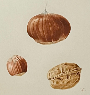 Stage d'aquarelle intergénérationnel, adultes, ados, enfants, 2 après-midi